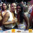 Bloco Skol Folia